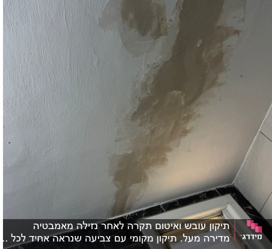 תיקון קיר עם סימני רטיבות ליד חלון